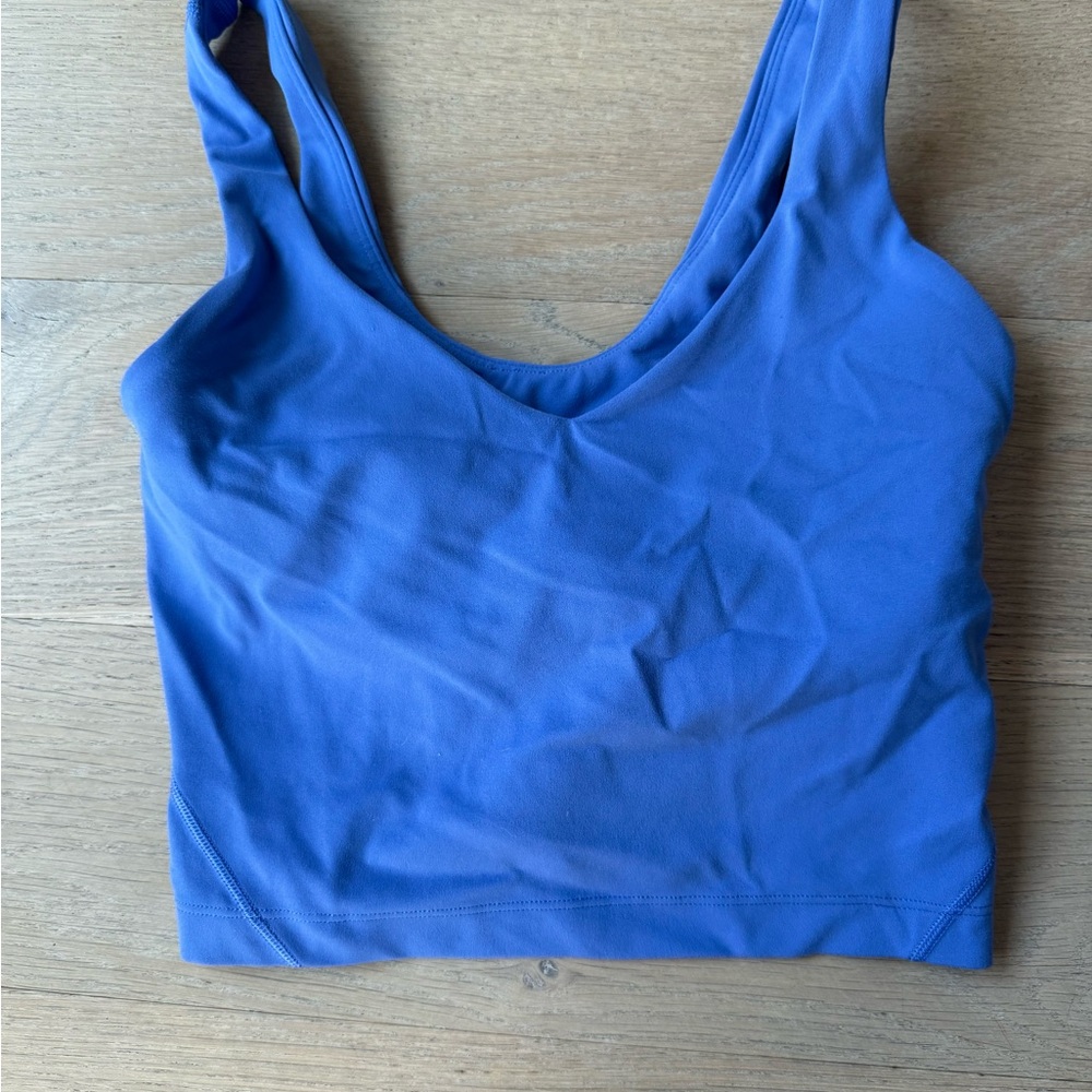 LuluBlue Sports Bra